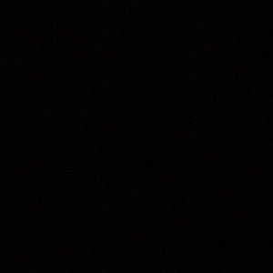 Meet your Posher, Lucy